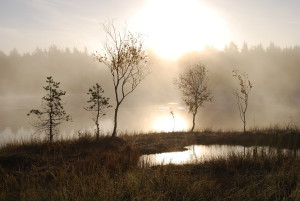 laulunopetuksesta